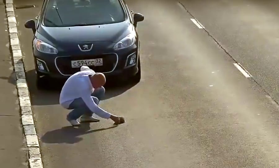 Az internet új sztárja az orosz autós, aki megmentette egy kiscica életét – videó