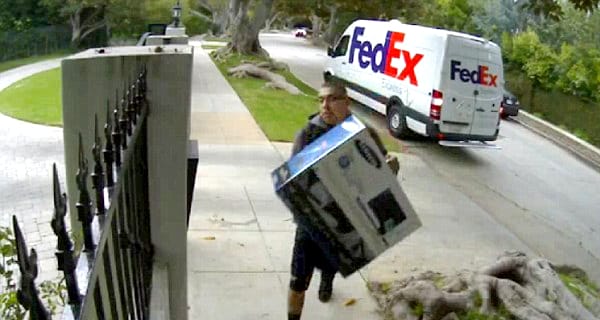 Agyonütött egy kutyát a kertbe dobott FedEx-csomag