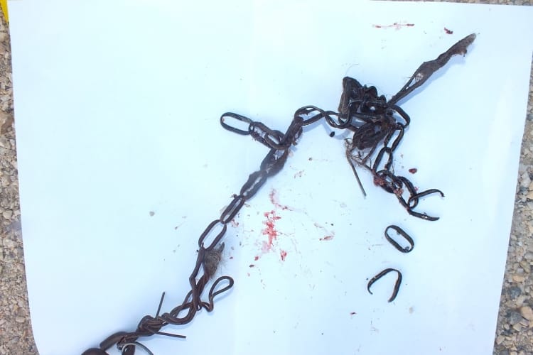 Drótot rakott nyakörv helyett a kutyájára egy dánszentmiklósi férfi
