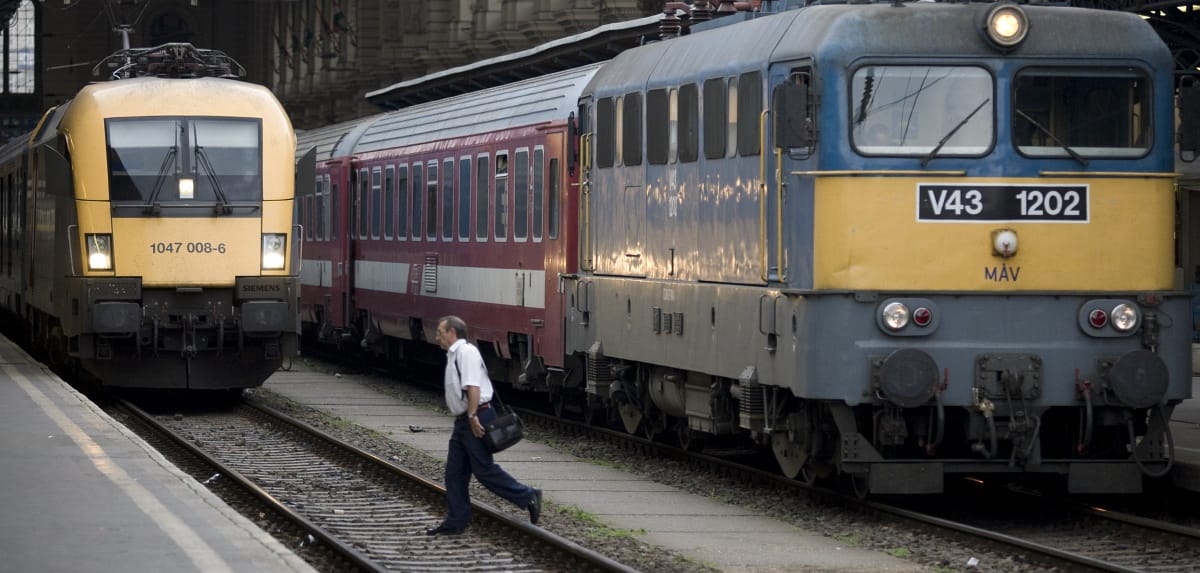 Ceglédi: A szőnyeg