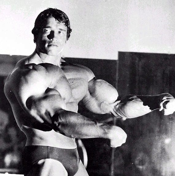 Saját magáról rendelt szobrokat Schwarzenegger