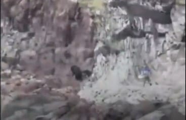 Videóra vették, ahogy egy orosz túravezető elűzi a csoportja felé tartó medvét