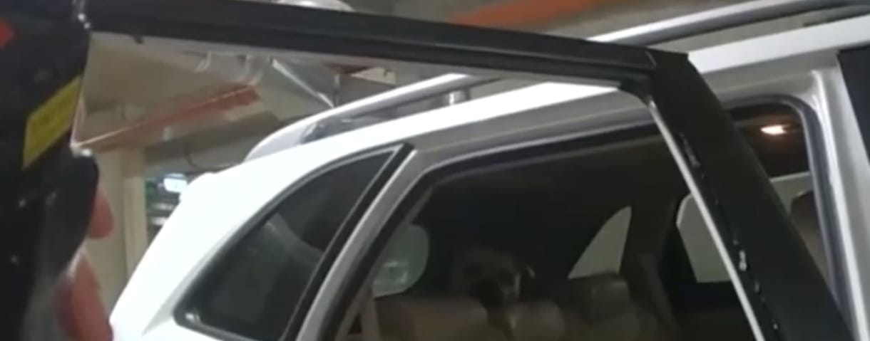 Fuldokló kutyát mentettek ki egy mélygarázsban parkoló autóból