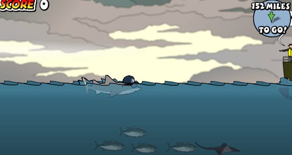 Napi munkakerülő – New York Shark