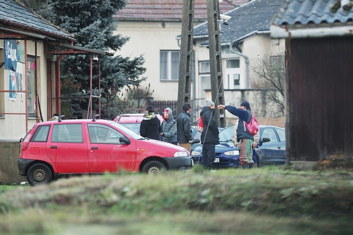 Gyerekeket dolgoztattak a megyeri vadászatokon? Napirendre vetetnék a témát