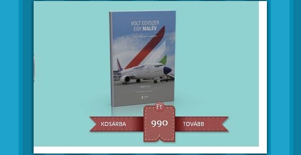 E-könyv a Malév végnapjairól