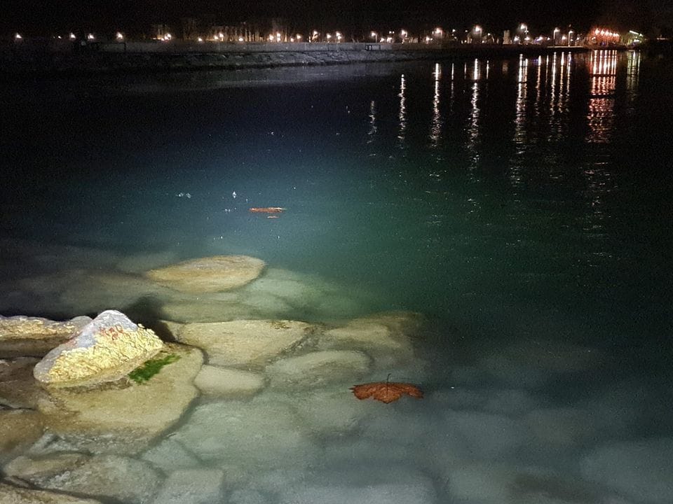 Elkezdett befagyni a Balaton