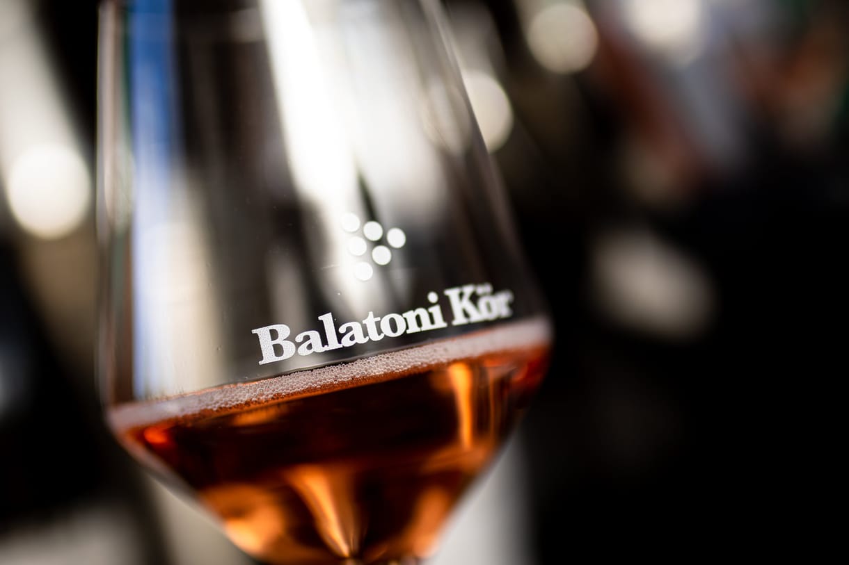 Ismét Laposa Bence lett a Balatoni Kör elnöke