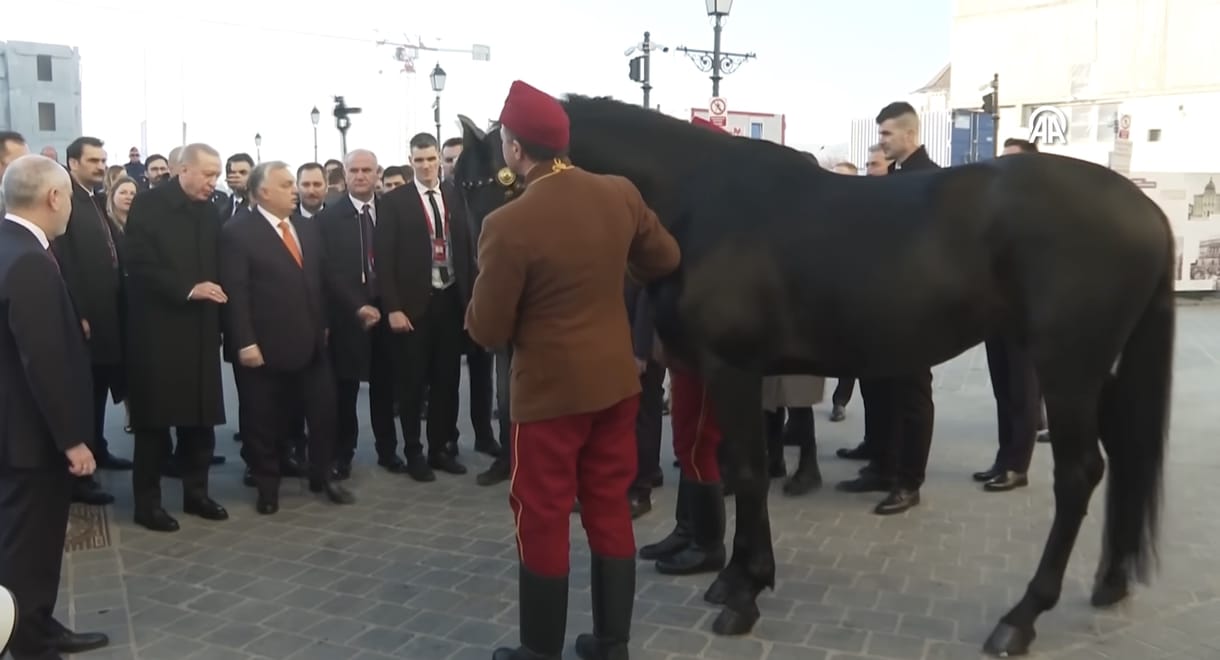 Lázár következő nagy projektje: kancát keres Erdogan lovának