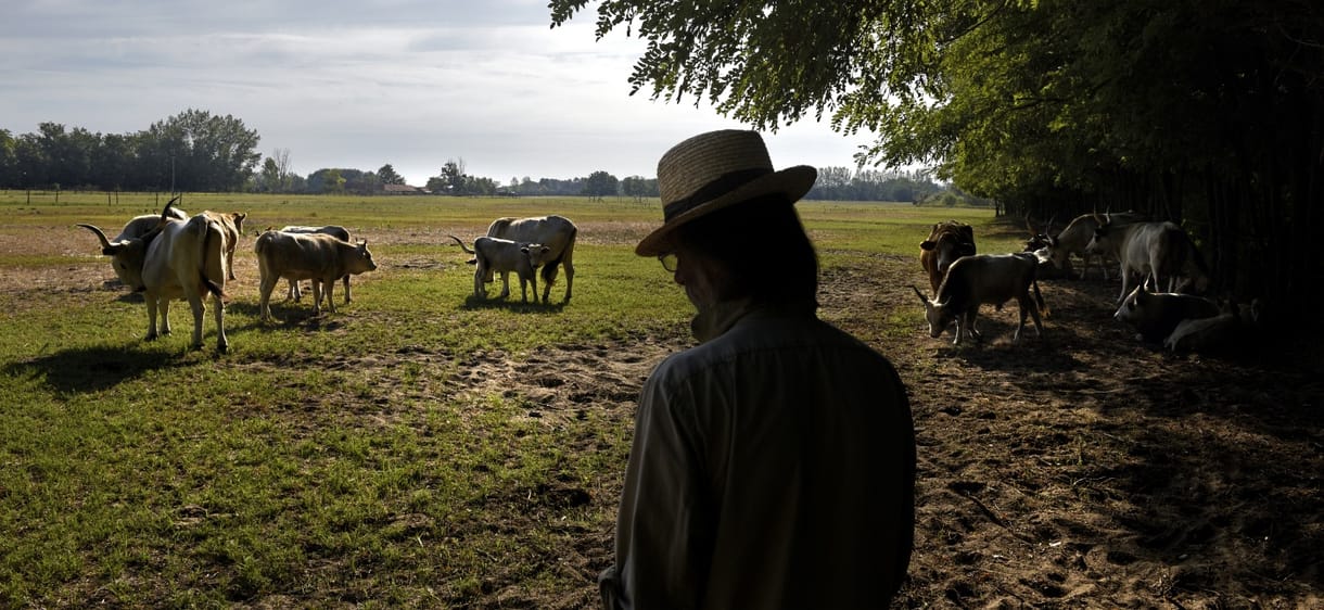 A magyar termelők kevesebb mint egy százaléka biogazda