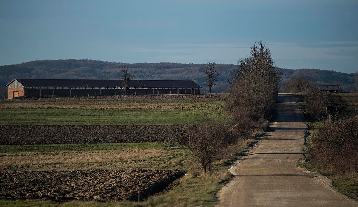 Simicskán kezdi a földosztást az állam