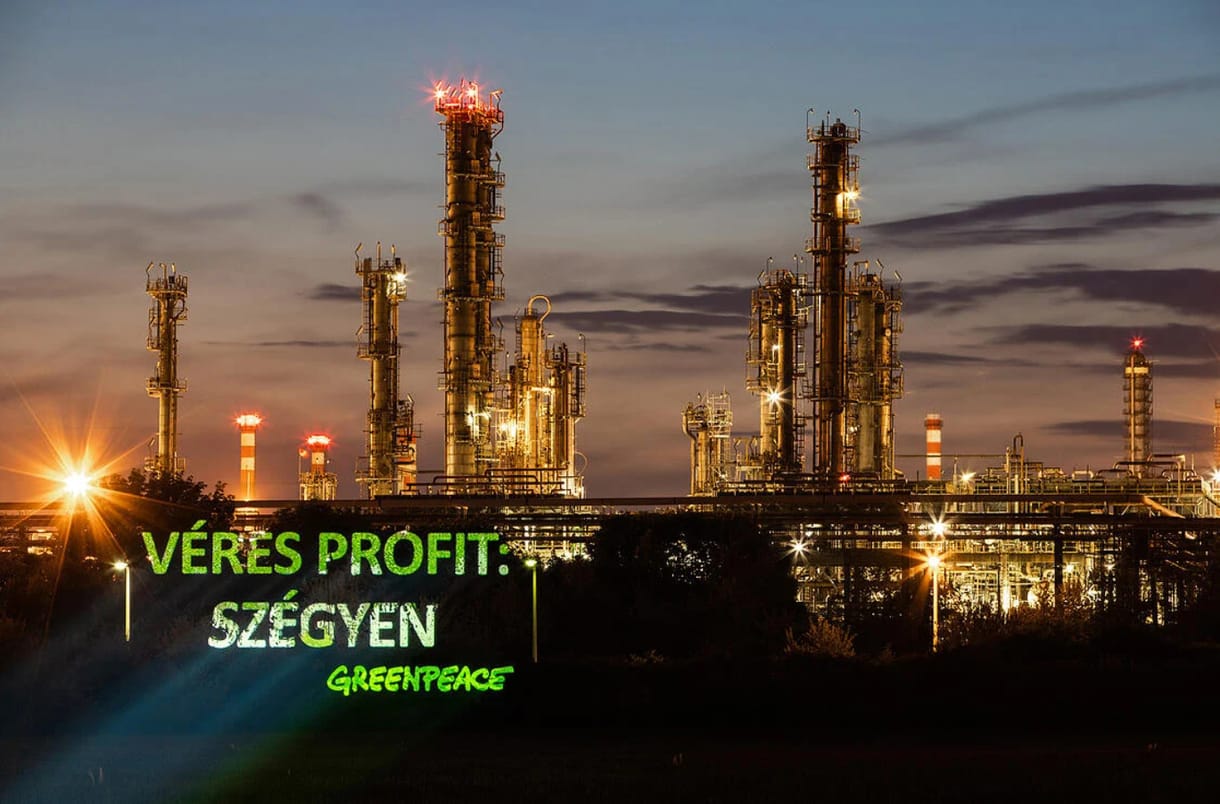 „Véres profit: szégyen!” – a Mol olajfinomítójánál akciózott a Greenpeace