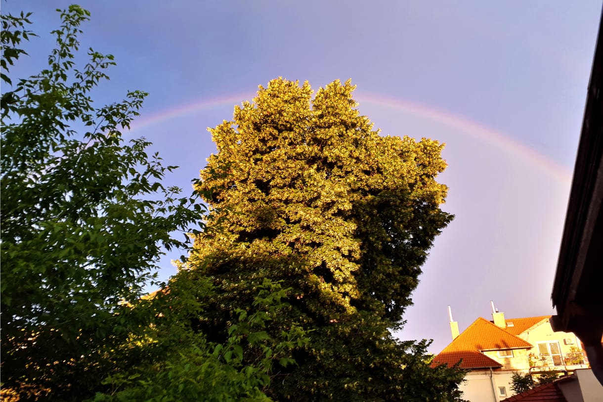 Ha a járványban nem is, a mellékhatásaiban lehetett találni jót