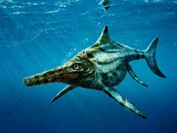 Rábukkanhattak a Loch Ness-i szörny rokonára - fotó
