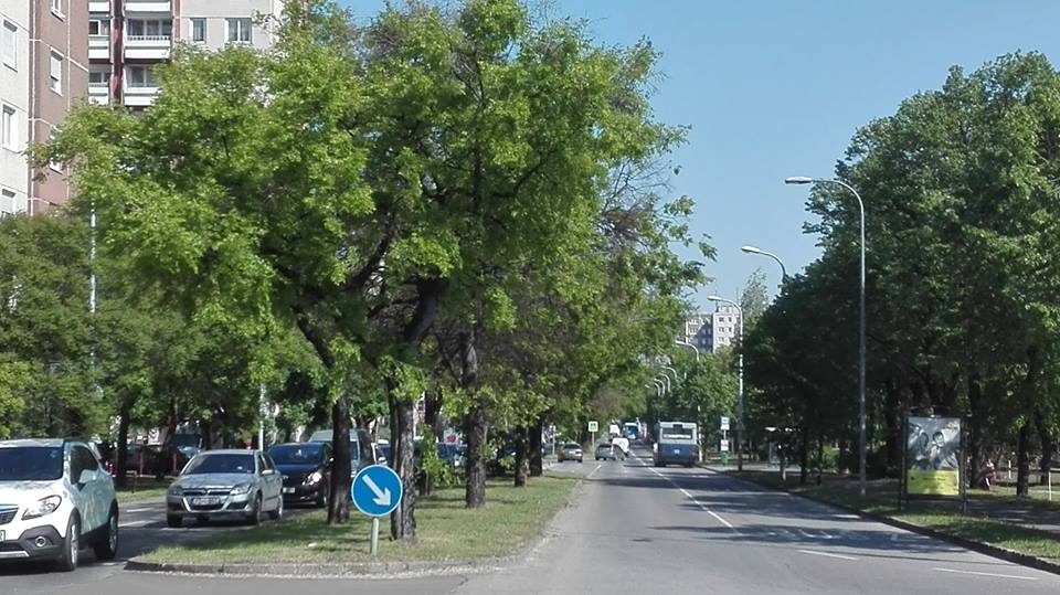 Elkezdték az 1-es villamos meghosszabbítását, panaszkodnak a lakók