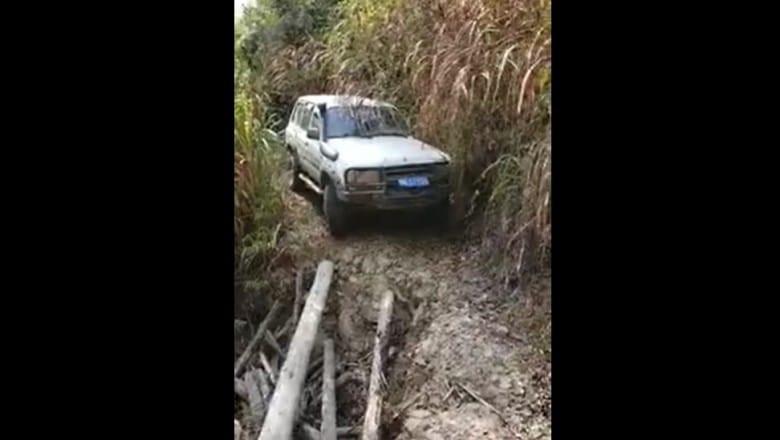 Ez a sofőr sem egy ijedős fajta – videó