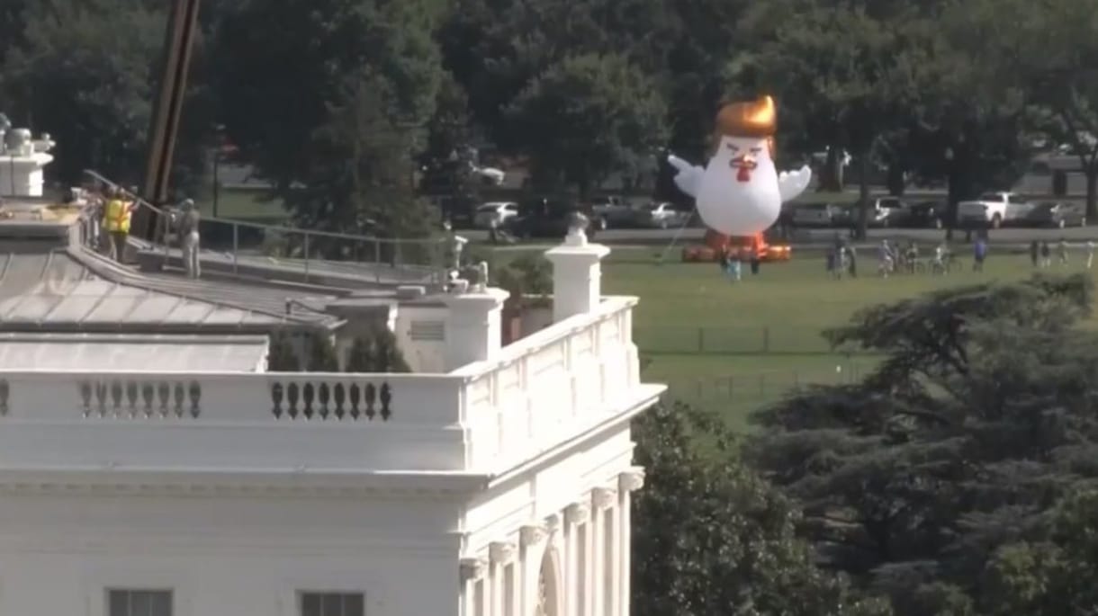 Felfújható Trump-csirke kotlott a Fehér Háznál