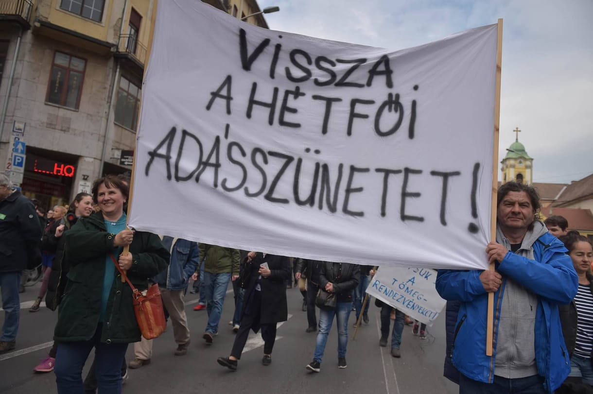 A Kutyapárt nyilván azonnal megfejtette, miért állt le a Facebook