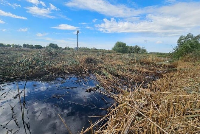 Meghibásodott a Mol egyik vezetéke, az abból kiömlő nyersolaj a hírek szerint egy szakaszon teljesen kipusztította a Marisi-csatorna élővilágát
