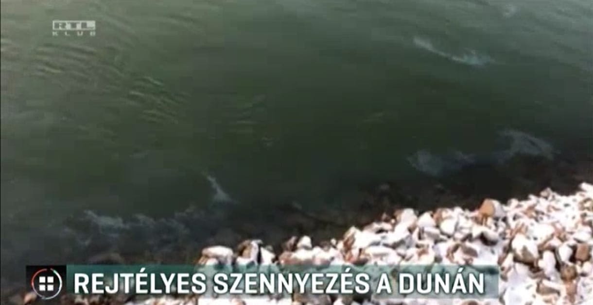 Olajszennyezés a Dunán: évek óta tudnak róla, mégsem tesznek ellene