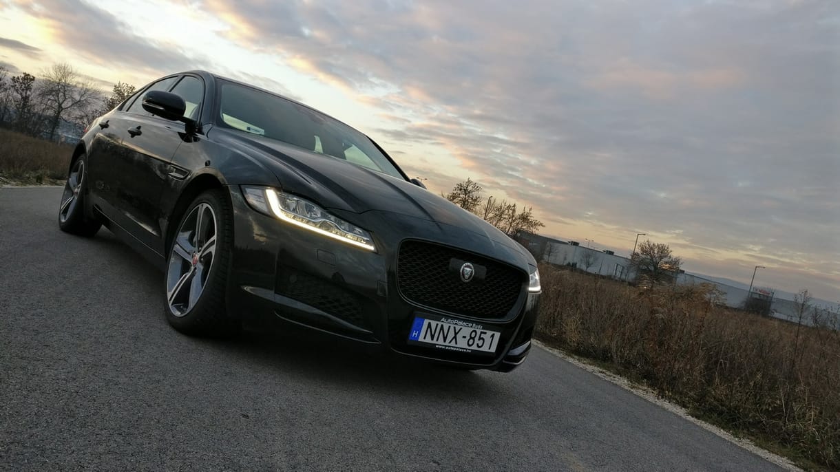 Vadmacskát szelídítettünk – teszten a Jaguar XF