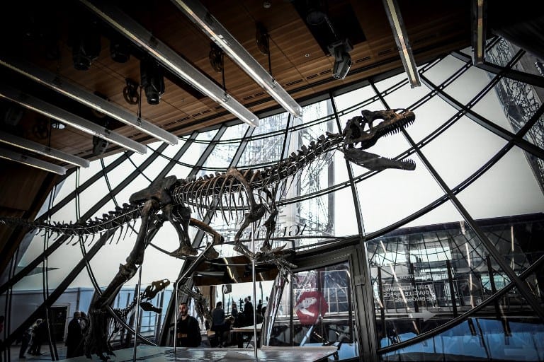 Hatalmas húsevő dinoszaurusz maradványaira bukkantak az Alpokban