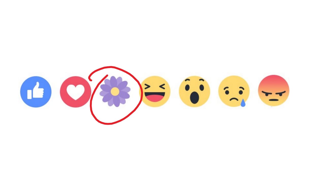 Miért van most ez a virág jel mindenhol a Facebookon?