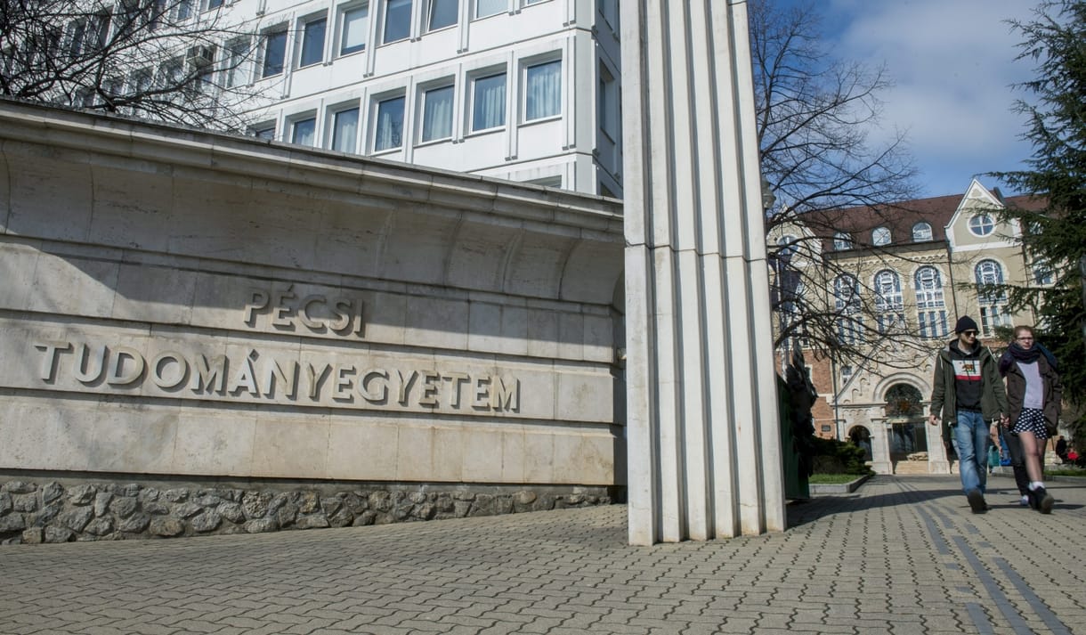 Rommeltől idézett pályázatában a leendő pécsi rektor