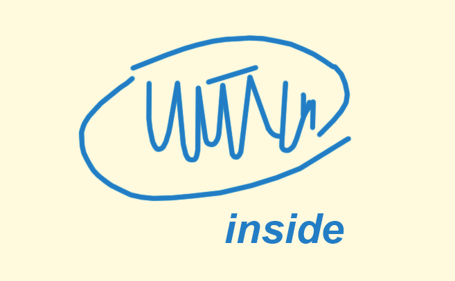 Magyar gimis is indult az Intel tehetségkutatóján
