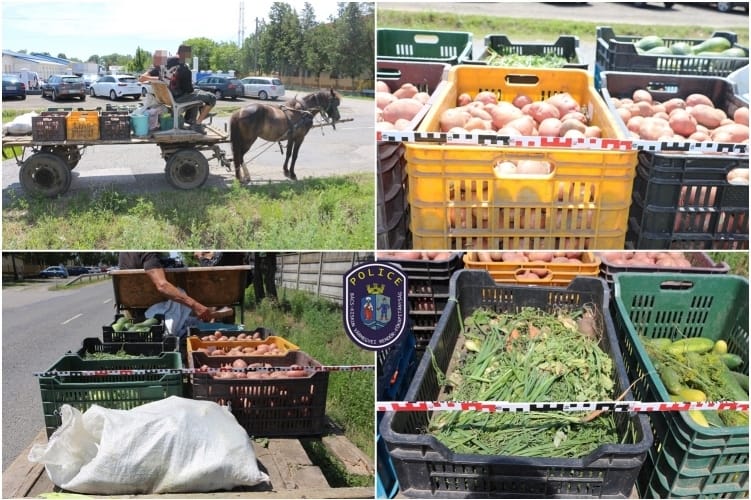 Ezért sem jó ötlet lovaskocsival lopni menni