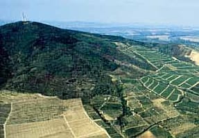 Tokaji borvita: 2011-ig csak egy maradhat