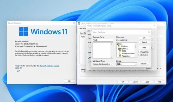 Fura őskövületre bukkantak a Windows 11-ben