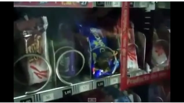 Videó: Patkány rágcsál egy édesség-automata belsejében