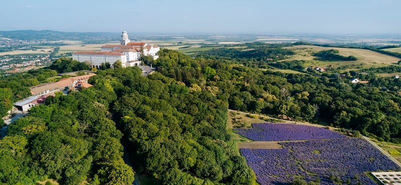Ellopták Pannonhalmáról Radnóti Miklós szobrát