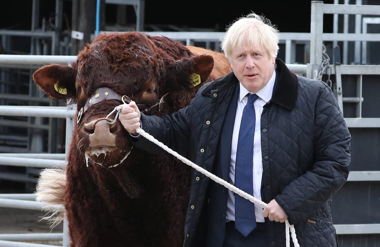 Boris Johnson marhákkal találkozott
