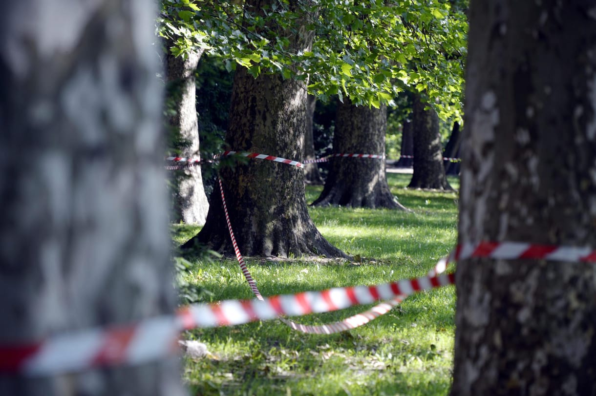 Két szatírt fogtak el a Margitszigeten