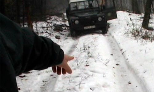 Kamerával a magyar farkasok nyomában - videó