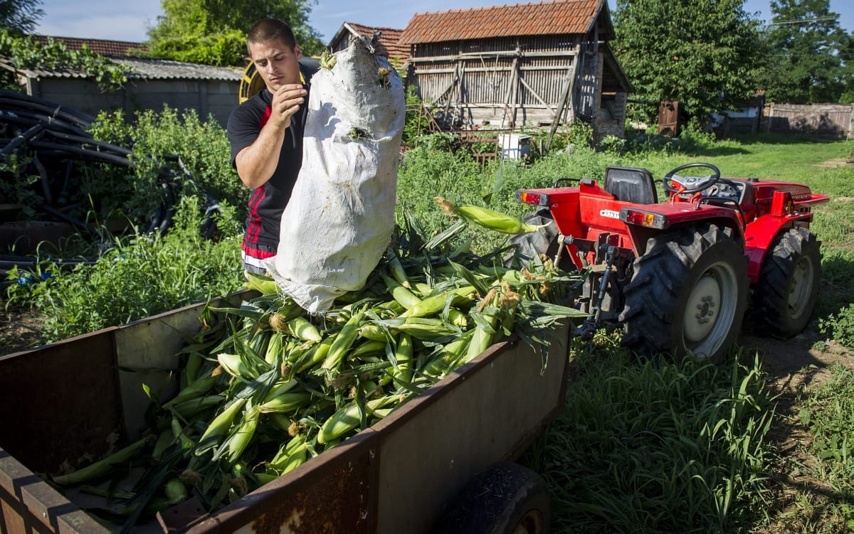 Felpattanó fogyasztás rántotta fel a gazdaságot