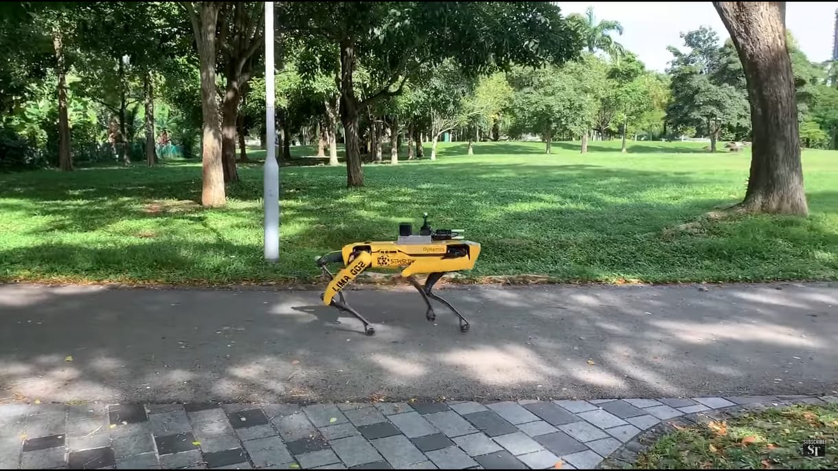 Szingapúrban robotkutya figyelmezteti a szabadban járókat, hogy tartsanak nagyobb távolságot – videó