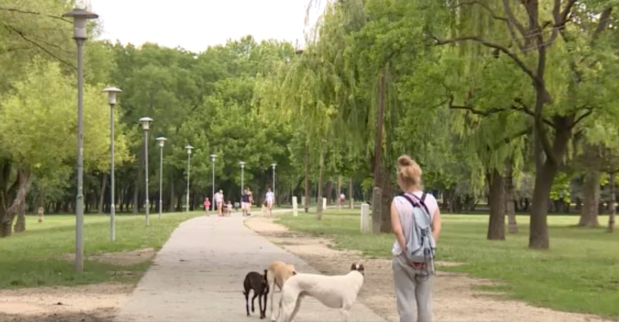 Építési tilalmat rendelhetnek el a Hajógyári-szigeten
