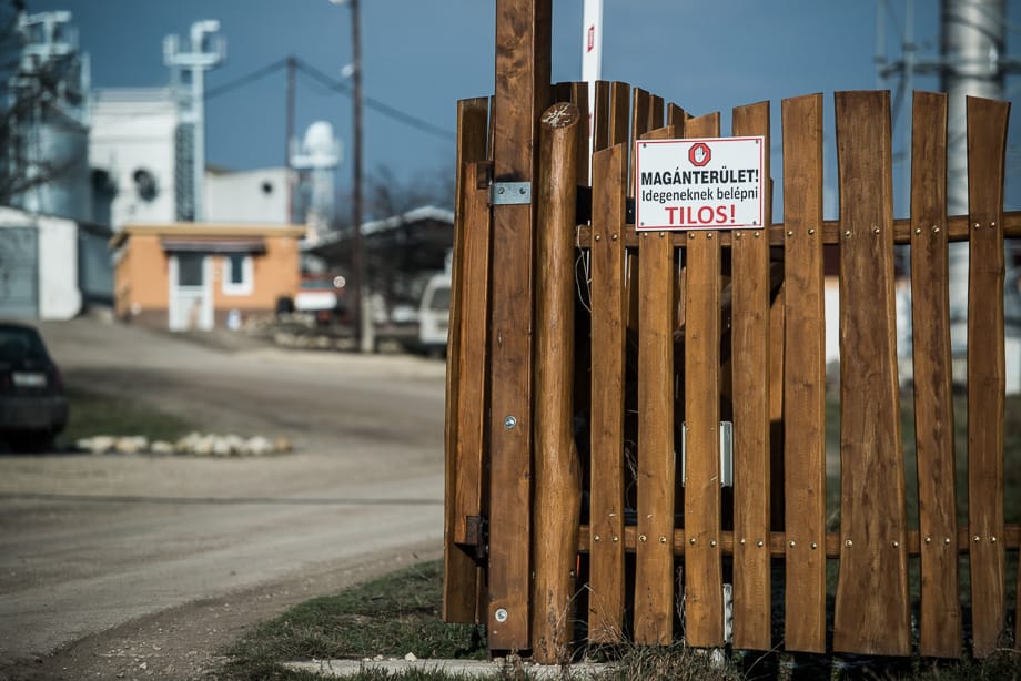 Papíron előkerültek Mészáros Lőrinc levágott disznói