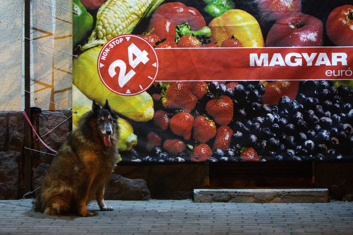 Düh és dac: Mégis kinek jó a nonstop boltok kinyírása? 