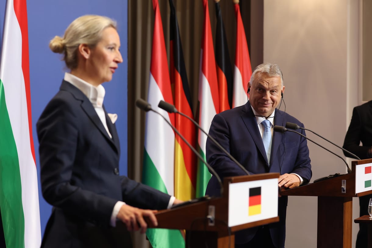 Der Spiegel: Orbán udvarolt Weidelnek