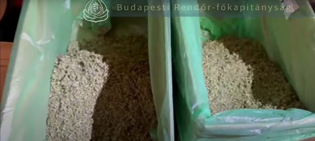 Videó: Egy posta előtt fogták el a drogdílert, aki csomagküldő bizniszt üzemeltetett