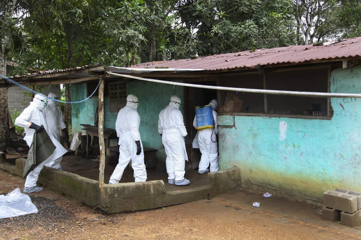 Nem is az ebolavírus okozta az ebolaválságot?