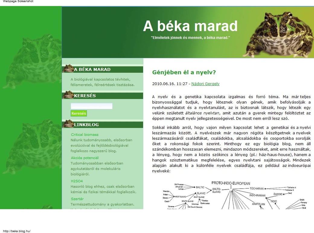 Milyen kapcsolat lehet a genetikai és a nyelvi leszármazás között?