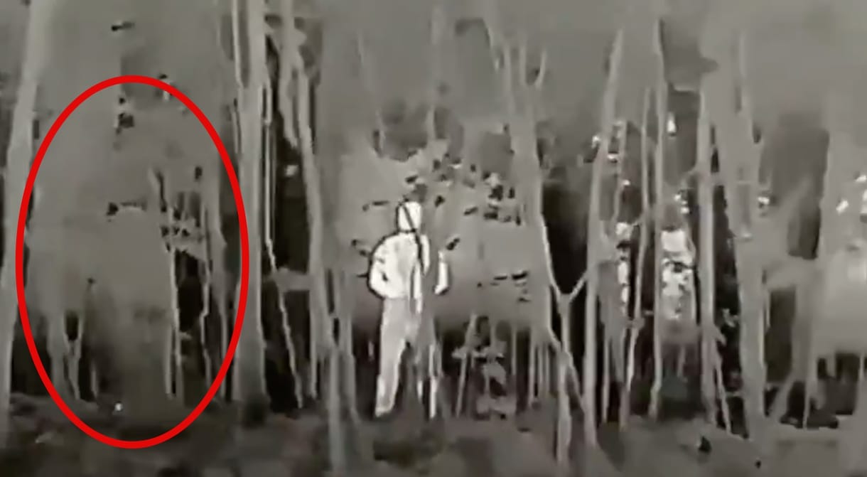 Ennyire láthatatlanná teszi az orosz katonákat egy új köpeny – videó
