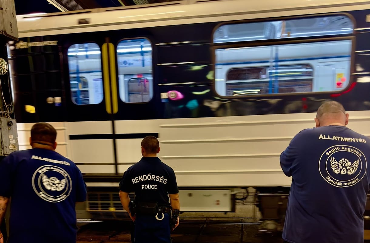 Elvesztette eszméletét a metrón, majd ráuszította a kiérkező mentősökre a kutyáit
