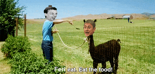 Gyurcsány lerágta Szijjártó karját - itt van a friss mém