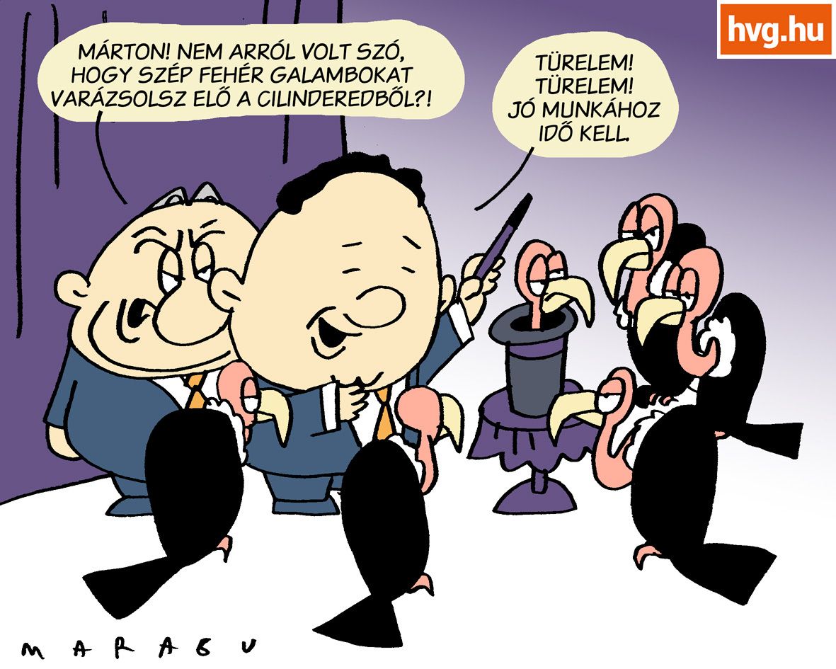 Marabu Féknyúz: Gazdasági hókuszpókuszok